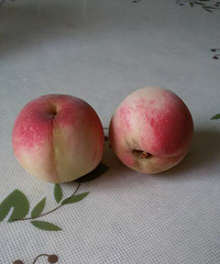 �Լ�����С���������