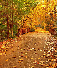 �쳾������-���������