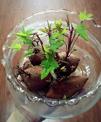 ��ι�����������ǵعϣ�����о��Լ�ͻȻ