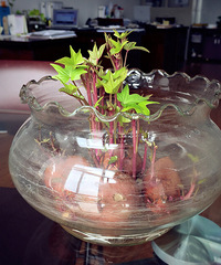 ��ι�����������ǵعϣ�����о��Լ�ͻȻ