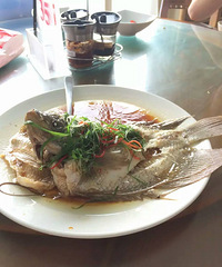 ���嵺���в� ��ȫû�����������