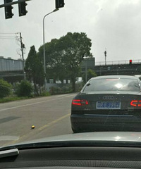 �����������ӳ�һ�޺�ţ�����桰ţ��