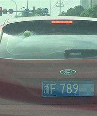 ��Ƥ~˭�ҵĺ��Ӱ� ��ô����