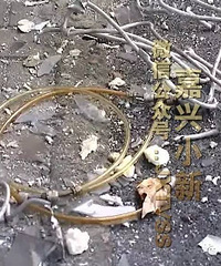 Ҳ̶ãһҵά޵ը Ѫ...