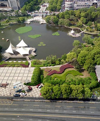 我大嘉兴,秀洲风景一点点