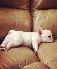 �����ò����裬���۷����������£����򷿾��ᵽ���ˣ�