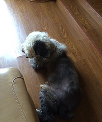 ϣ������