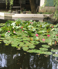 ֻ��������