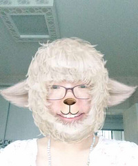 ��Ȧ ���� ������