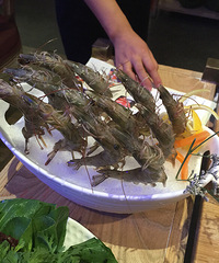 �ոճ������