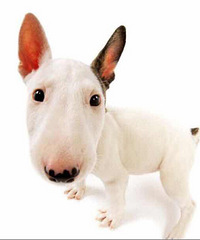 �������̈́���