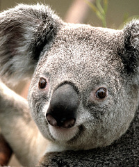 93 Դ òԸ񶼲 ڴԼԵ