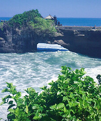 ɹ��������ʳ�����Ų�ȯ��