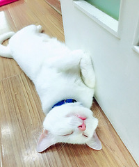 都热成狗了,让我中个奖吧