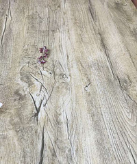 �����Ϸ��������ˣ����У����ϳԶٺõ�