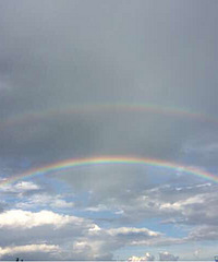 �������齱����Ҳ������