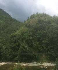 ��ɽ�ĺ�����������ˡ���ô����զኣ�