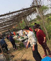 ������ô��Ұ�ͣ������