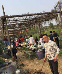 ������ô��Ұ�ͣ������