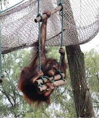 �þ�û�����ˣ�����С�