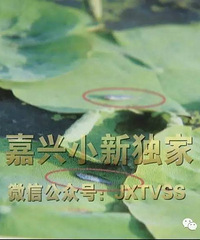 ҳź𣿾綾ũҩڼ˴Ƭź ϰϰҪԹ˾