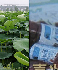 ���˴�Ƭź�� �����˾綾ũҩ��