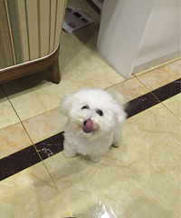 �ҵ�Ҫ�󲢲��ߣ�2��������ȯ�Ϳ��ԣ�