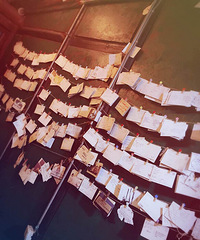 ������Ե