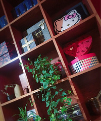 ������Ե