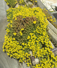 �Ի���������������