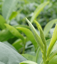 81��GG �з� ����9w ���Ҹ��������С�Ĺ���