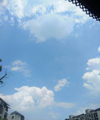 ���˱����������÷���ʲô����㷢��