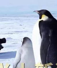 ������Ů��Ӱʦ 6��ȥ6���ϼ�14�α�����