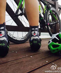 ���Լ�˵�簲��