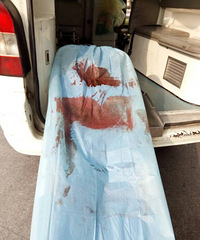 磡ʮСˢǽ Ӷ¥׹¥Σ