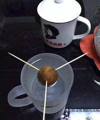 �ҵ�ţ�͹�����