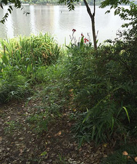 �ֻ��׾����ҡ�һ����  ��ȻTA��ֱ�ӷɽ�����