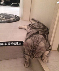 �����ȱ�