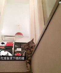 �����ȱ�