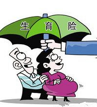 �����籣 ��˾ȴֻ���������� ������ò��ܱ�