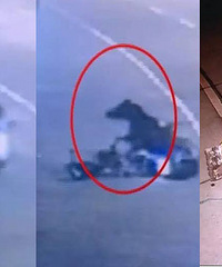 �����������Ͽ�����·�� ��1��ƥ������׷β�ˣ�