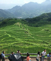 云和梯田