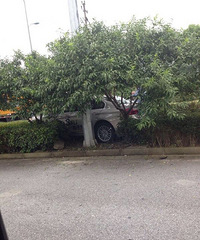 ˣȭ·ŷ··ڶ Լݳײˣ