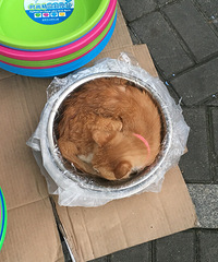 ѽ�����ǣ�