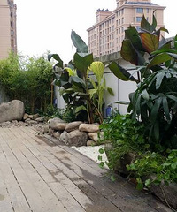 [����]һ�������˵��ݶ���԰���ⷿ ��������