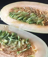 ϡ�棡����Ĺ��ܹ� ��һ�� �������̶�ѿ