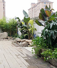 �����и����� �ݶ��Ͻ��˸����������л�԰��