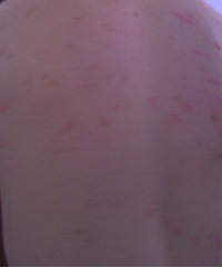 �����ˣ�����ҧ��ȫ������  ����Ҳ�����ˣ�