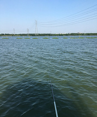 �Ҳ����񾭲� ���Ƿ���