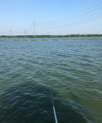 �Ҳ����񾭲� ���Ƿ���